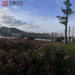 美女直播尻屄尻出水视频
